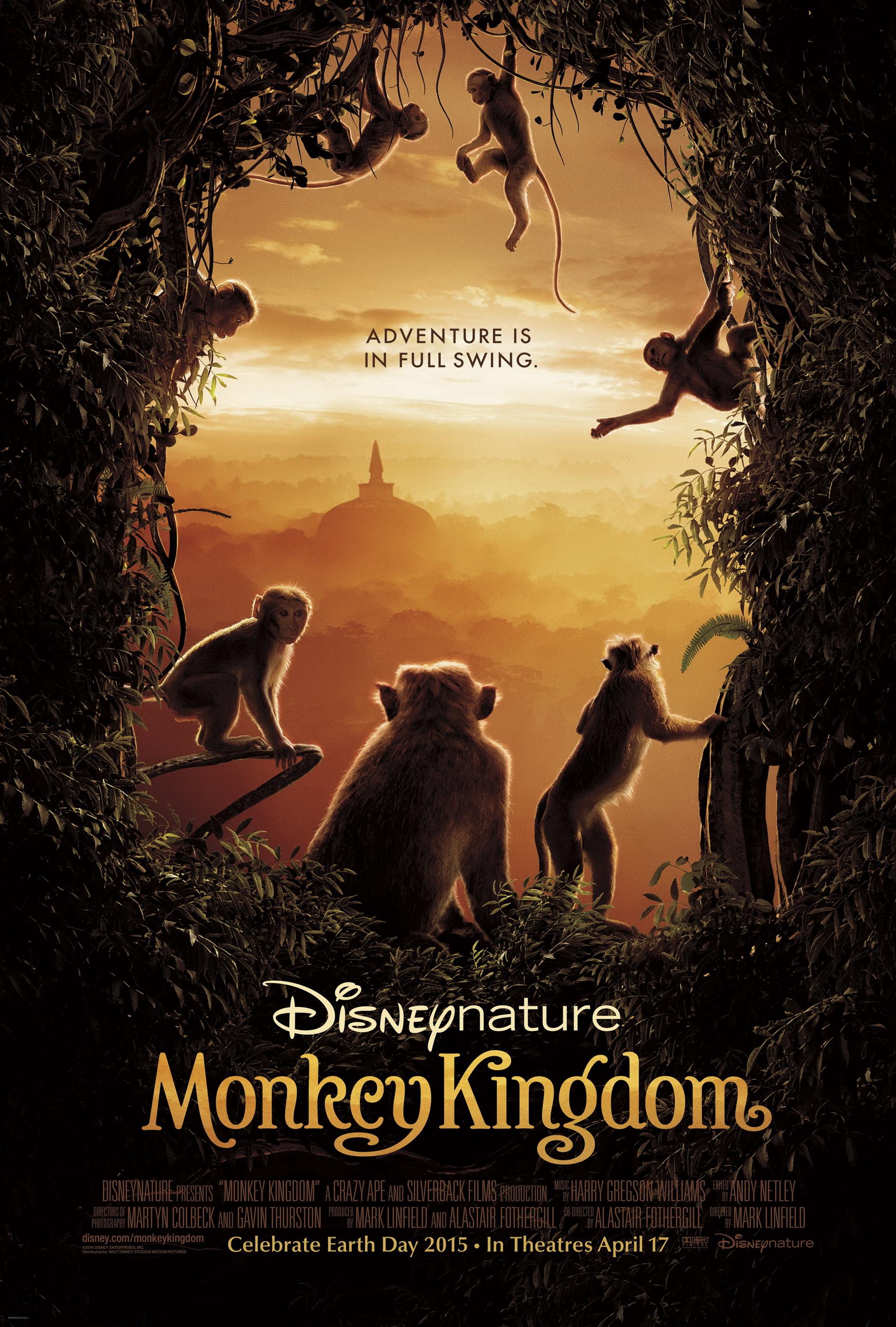 monkeykingdom54877da023d63