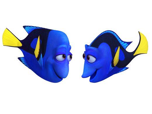 dory-genitori