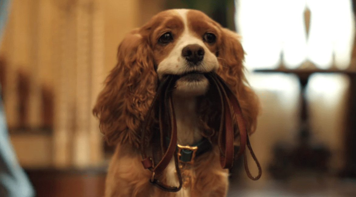 Lilli e il Vagabondo live action, il secondo trailer con tante scene inedite