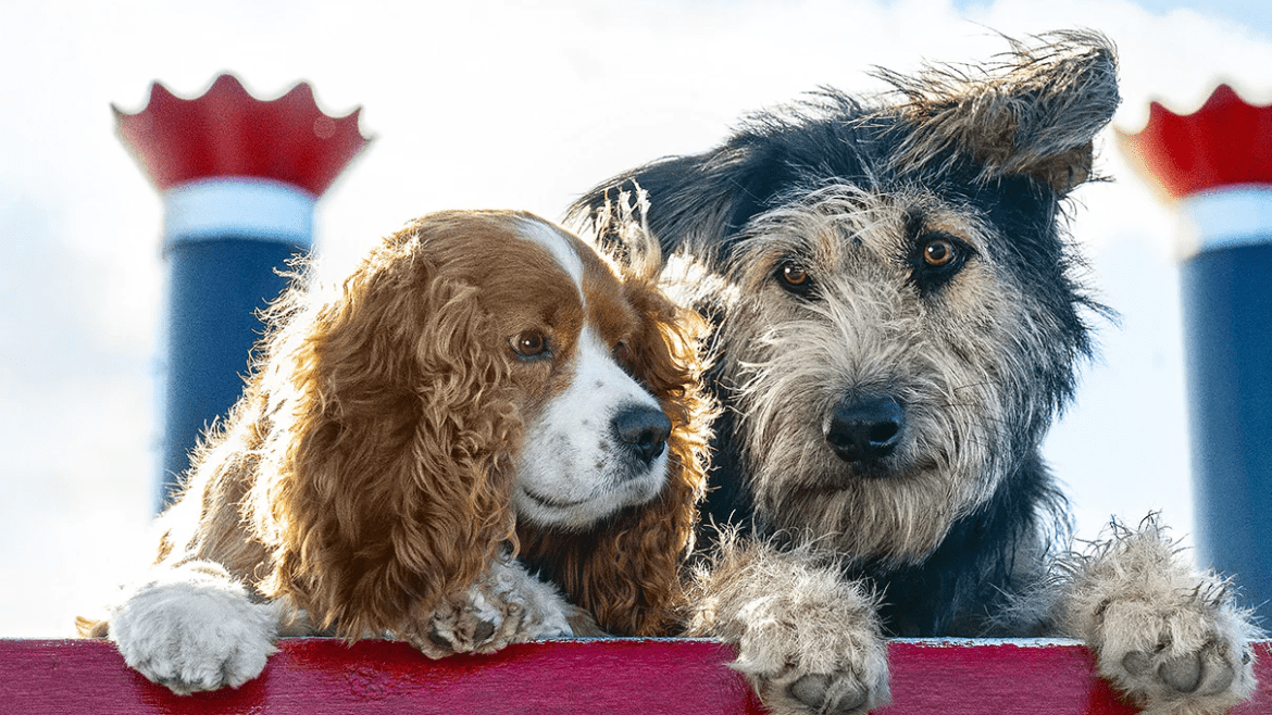 Disney+, tutti i trailer italiani di film e serie in streaming