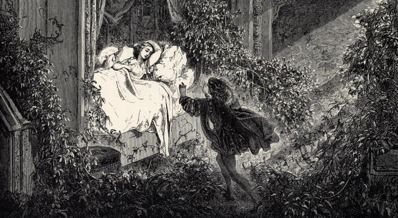 Origini della Bella addormentata nel bosco La Belle au bois dormant (Sleeping Beauty), Gustave Doré - dettaglio