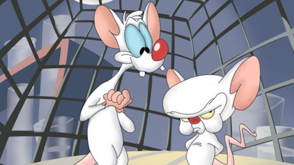 Il Mignolo col Prof torneranno nella serie reboot degli Animaniacs