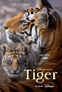 Tiger Disneynature Priyanka Disney Plus (1)