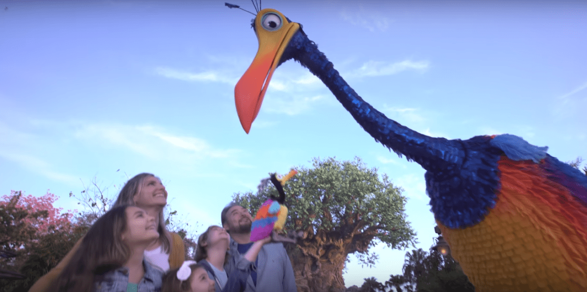 Ora si può incontrare il beccaccino Kevin a Walt Disney World