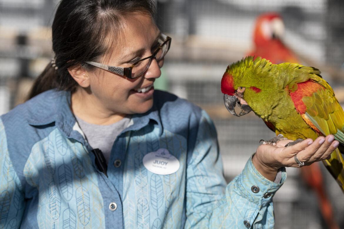 Gli Eroi del Disney Animal Kingdom, il parco Disney nella nuova docuserie