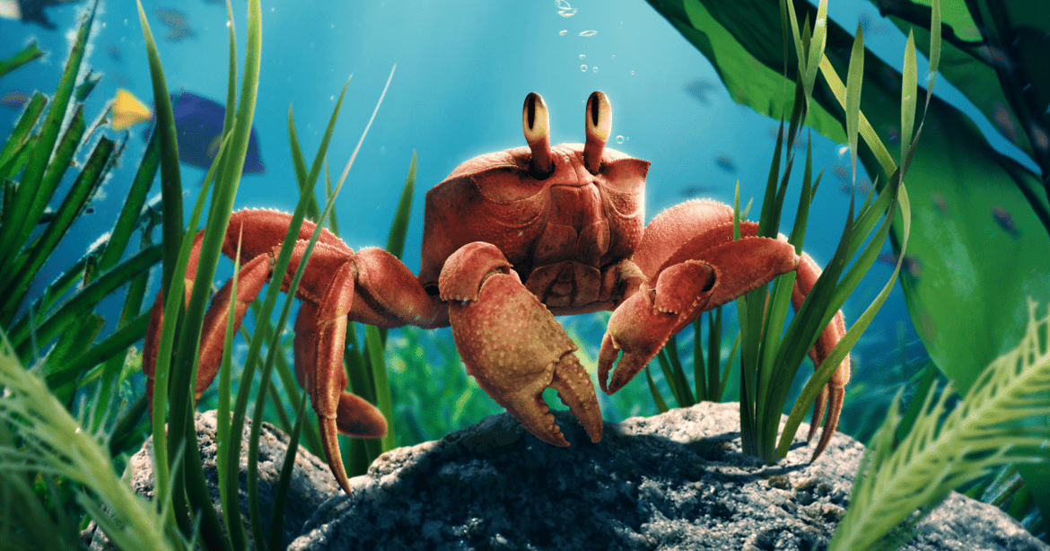 Mahmood doppierà Sebastian nel live action de La Sirenetta